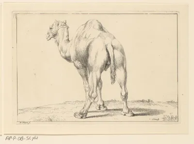 Landschap met dromedaris, op de rug gezien
