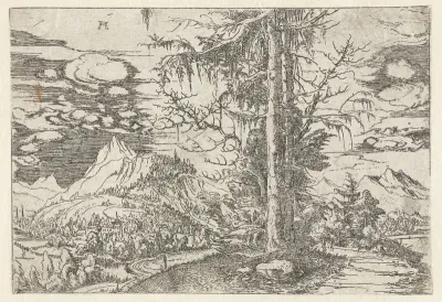 Landschap met dubbele spar