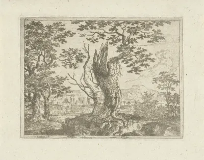 Landschap met een afgebroken boom