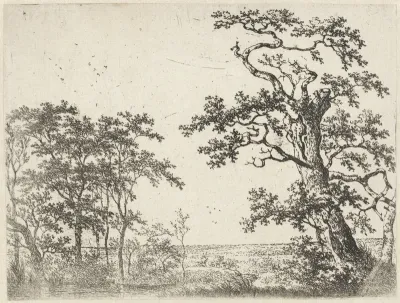 Landschap met een beek
