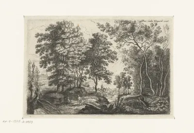Landschap met een beek door een bos