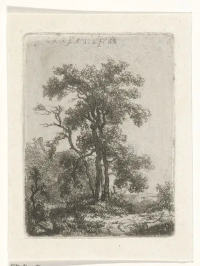 Landschap met een boom