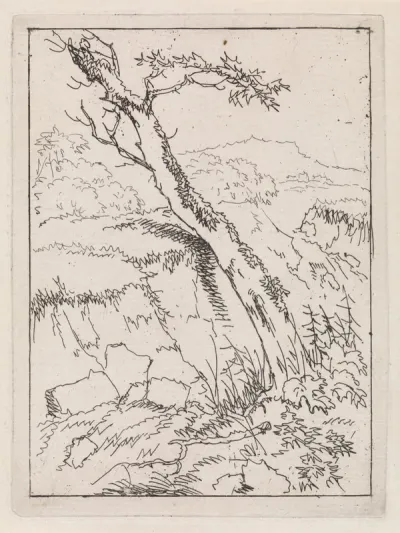 Landschap met een boom
