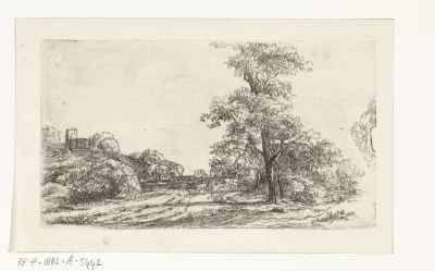 Landschap met een boom