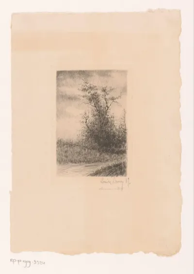 Landschap met een boom aan de waterkant