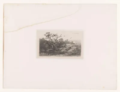 Landschap met een boom bij een vijver