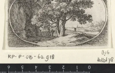 Landschap met een boom met dubbele stam
