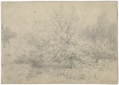 Landschap met een boom prominent in het midden