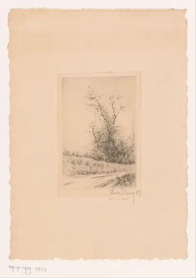 Landschap met een bos aan de waterkant