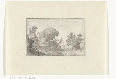 Landschap met een dode boom en een man