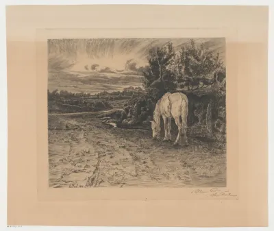 Landschap met een grazend paard