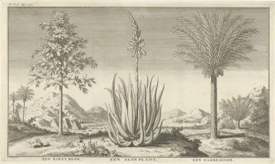 Landschap met een groep bomen en planten