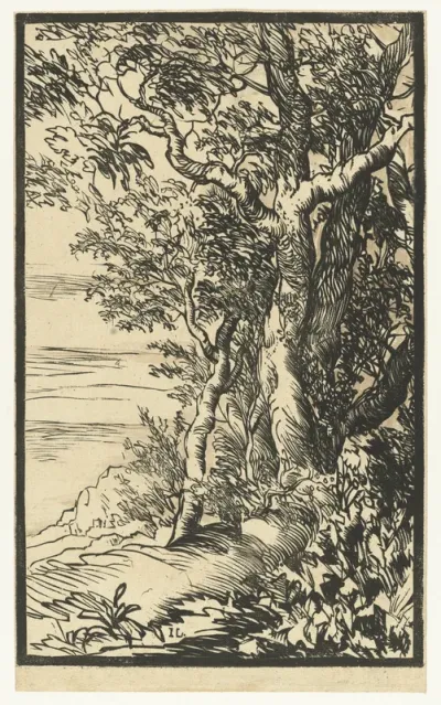 Landschap met een groep bomen
