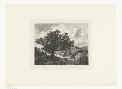 Landschap met een grote boom bij een beek