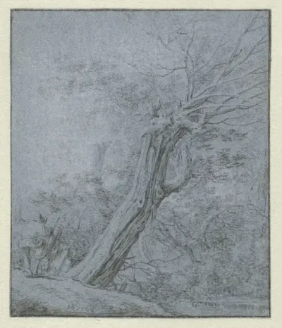 Landschap met een grote boom