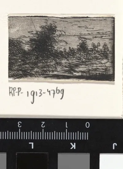 Landschap met één hoge boom