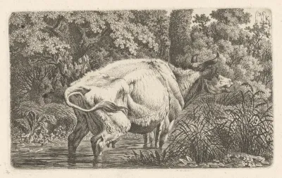 Landschap met een koe in het water