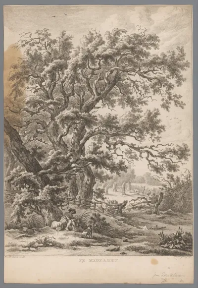 Landschap met een man en hond onder een boom bij Midlaren