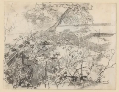 Landschap met een omgevallen boom