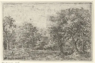 Landschap met een plas