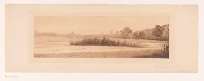 Landschap met een rietkraag in een meer