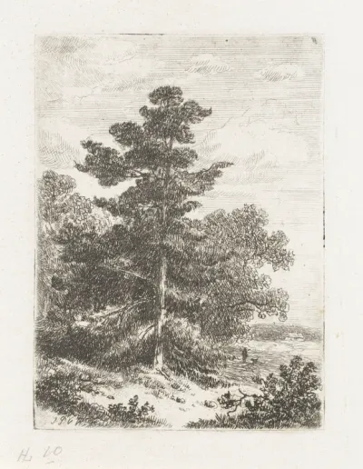 Landschap met een spar