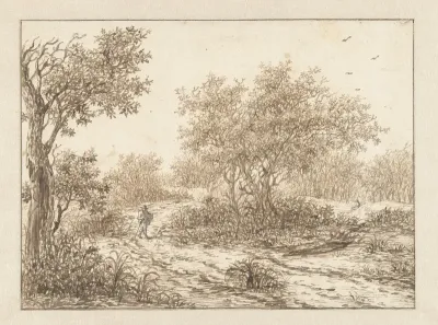 Landschap met een wandelaar