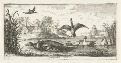 Landschap met eenden