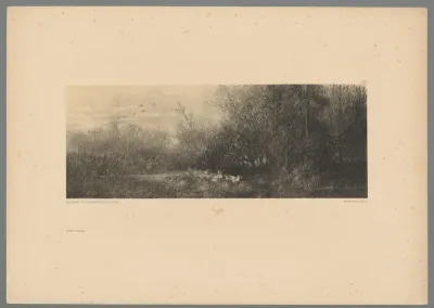 Landschap met eenden