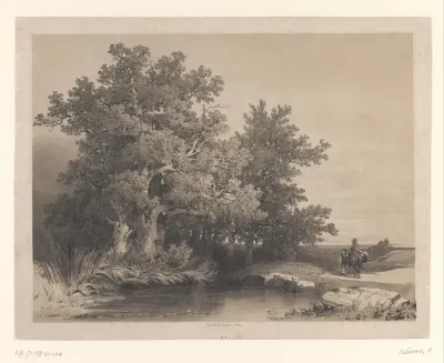 Landschap met eikenbomen aan een vijver