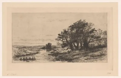 Landschap met eikenbomen bij Wolfheze