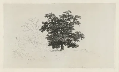 Landschap met eikenboom
