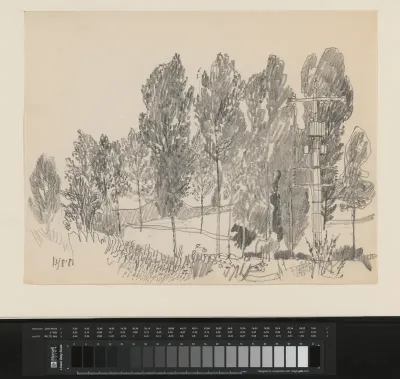Landschap met elektriciteitspaal en bomen
