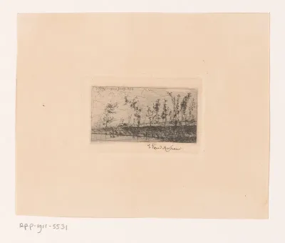 Landschap met enkele bomen langs het water