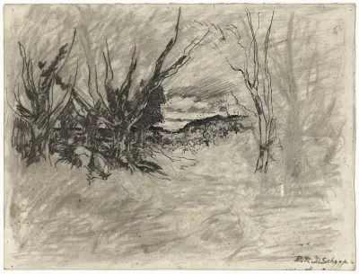 Landschap met enkele bomen