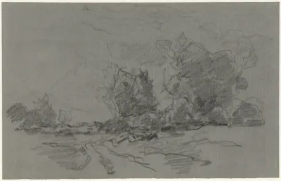 Landschap met enkele hoge bomen
