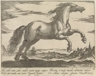 Landschap met galopperend paard
