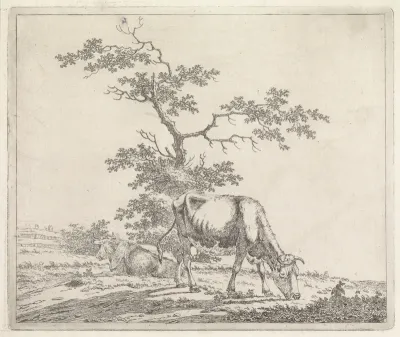 Landschap met grazende koe