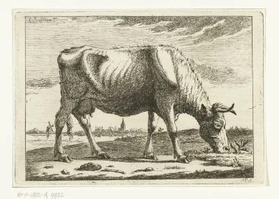 Landschap met grazende koe