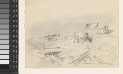 Landschap met grazende koeien