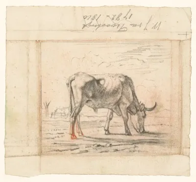 Landschap met grazende Os
