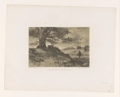 Landschap met grensboom en grenssteen