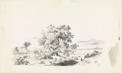 Landschap met grote boom