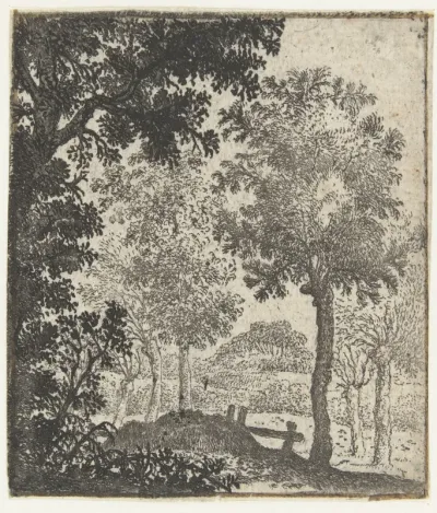Landschap met grote boom op voorgrond