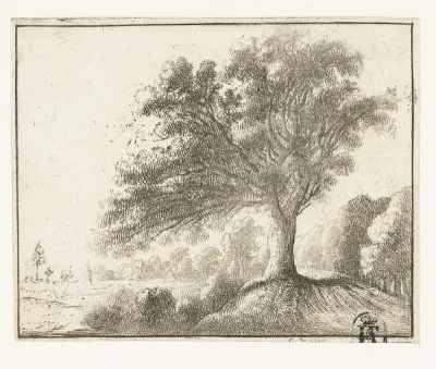 Landschap met grote boom