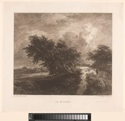 Landschap met grote struiken en wandelaar