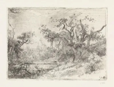 Landschap met half dode boom