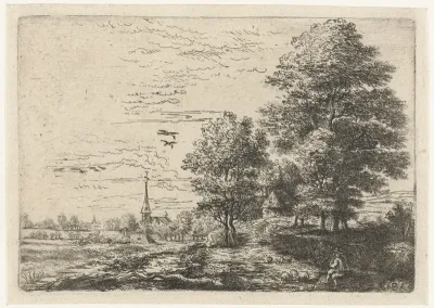 Landschap met herder en schapen