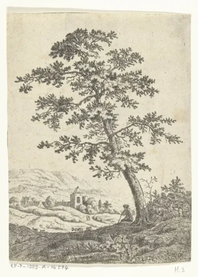 Landschap met herder