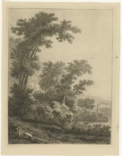 Landschap met hoge bomen